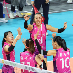 Pink Spiders Remained on Top of V League after Wins Against Kixx and Hillstate