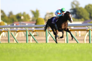 Equinox Wins 5th Straight G1 Race at Tenno-sho